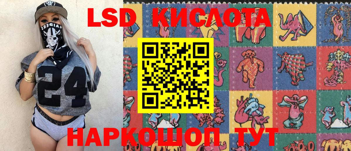 Альфа ПВП Магадан