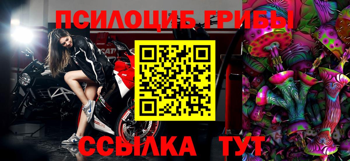Магадан  Галлюциногенные грибы Cubensis  Вход с VPN 
